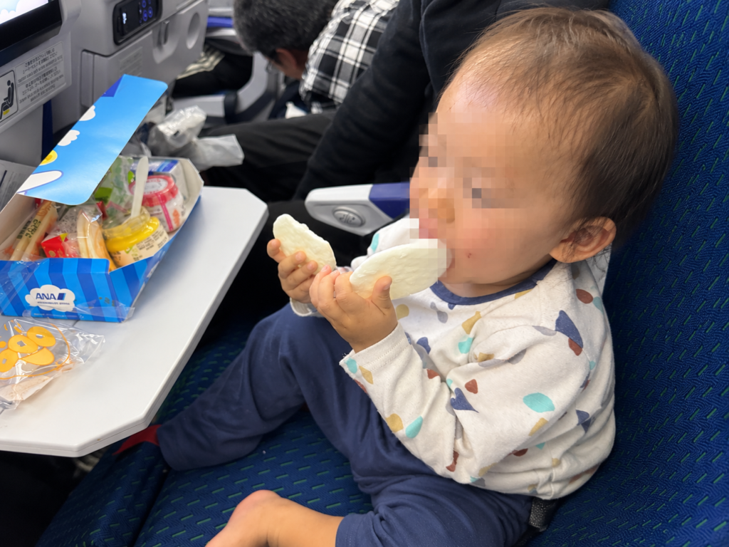 ハワイへの子連れフライト｜1歳半の息子と機内で過ごす様子